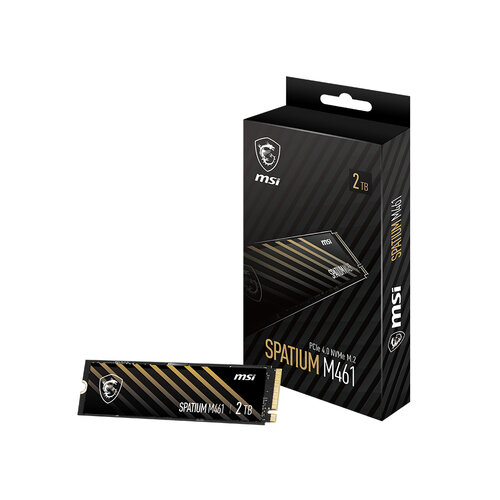 MSI SPATIUM M461 2 TB
