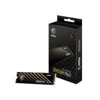 MSI SPATIUM M461 2 TB