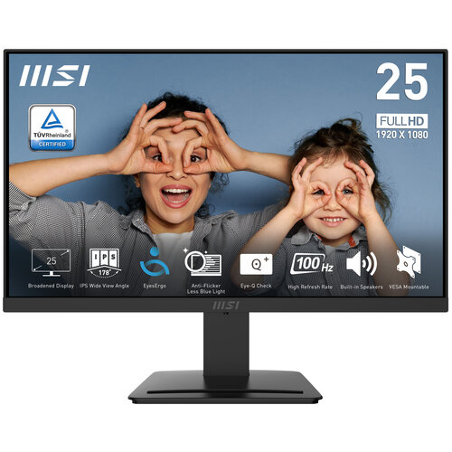 MSI PRO MP253